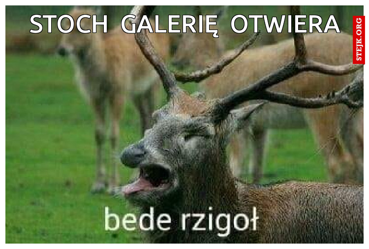 stoch  galerię  otwiera