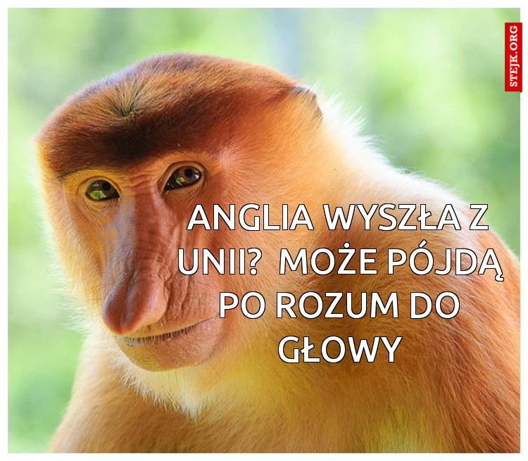 Anglia wyszła z Unii?  Może pójdą po rozum do głowy
