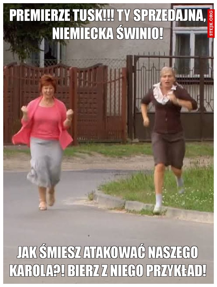 Premierze Tusk!!! Ty sprzedajna, niemiecka świnio!