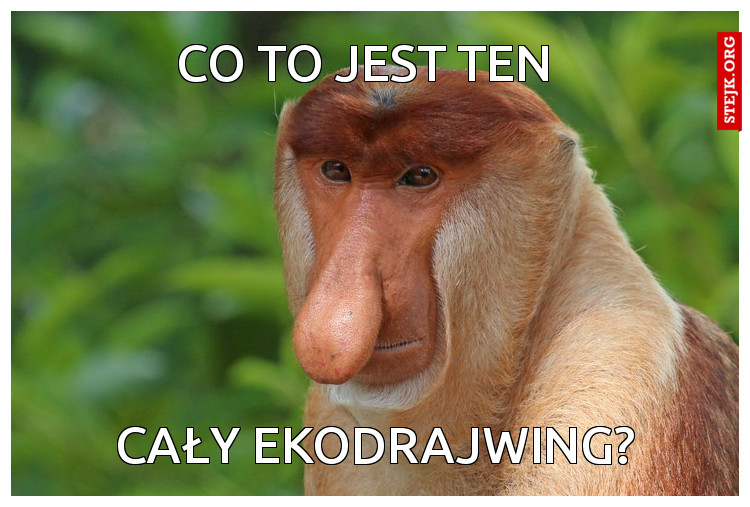 Ekodrajwing
