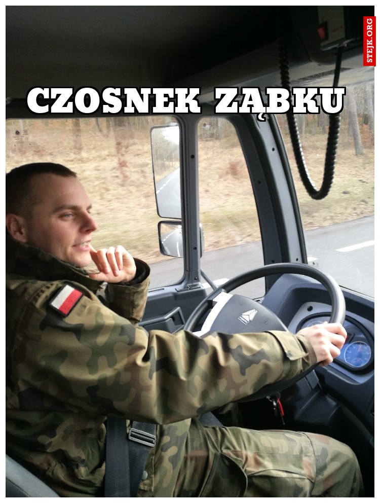 Czosnek ząbku