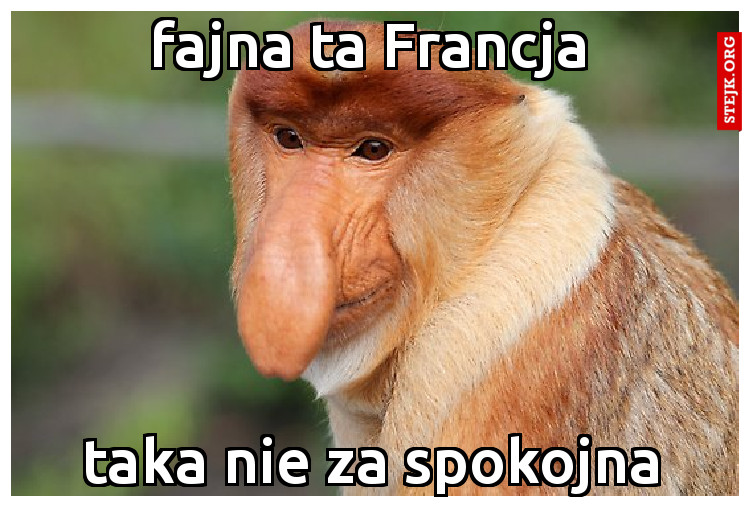 fajna ta Francja
