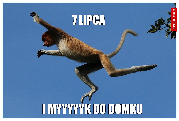 I myyyyyk do domku