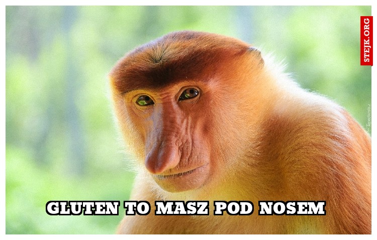 Gluten to masz pod nosem