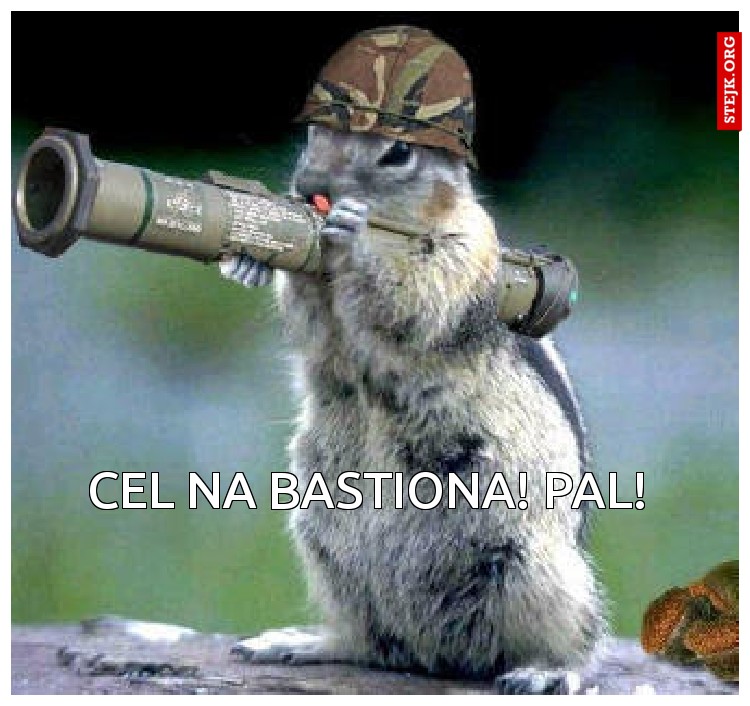 cEL NA BASTIONA! PAL!