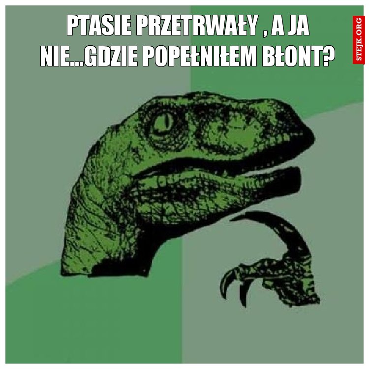 pTASIE PRZETRWAŁY , A JA NIE...GDZIE POPEŁNIŁEM BŁONT?