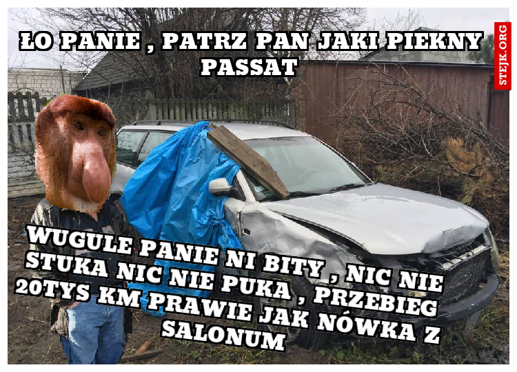 Ło Panie , patrz pan jaki piekny passerati 