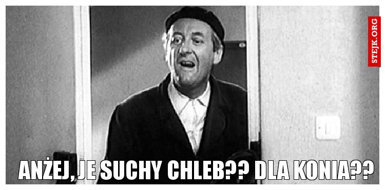 Anżej, je suchy chleb?? Dla konia??