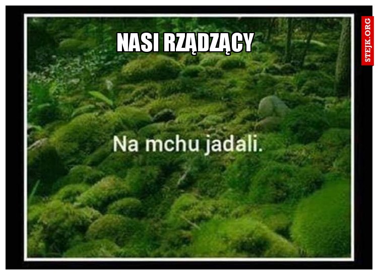 Nasi rządzący 