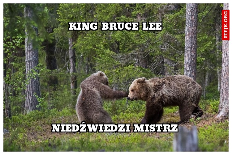 king bruce lee