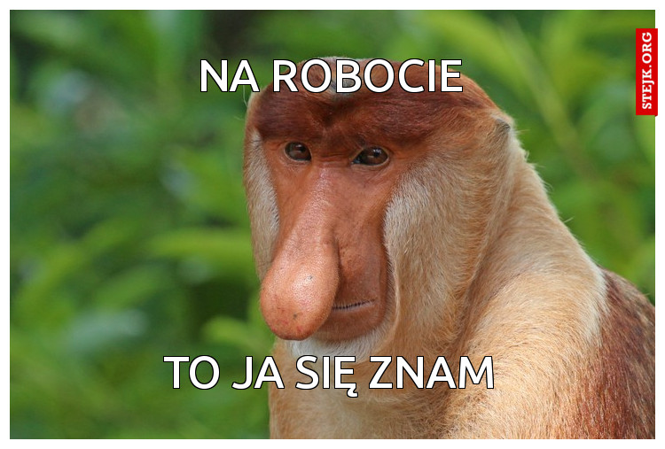Na robocie