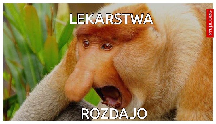 lekarstwa