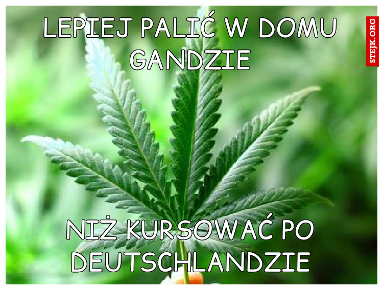 LEPIEJ PALIĆ W DOMU GANDZIE