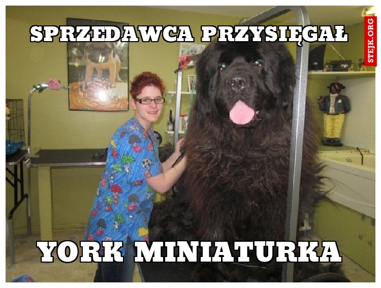 Sprzedawca przysięgał