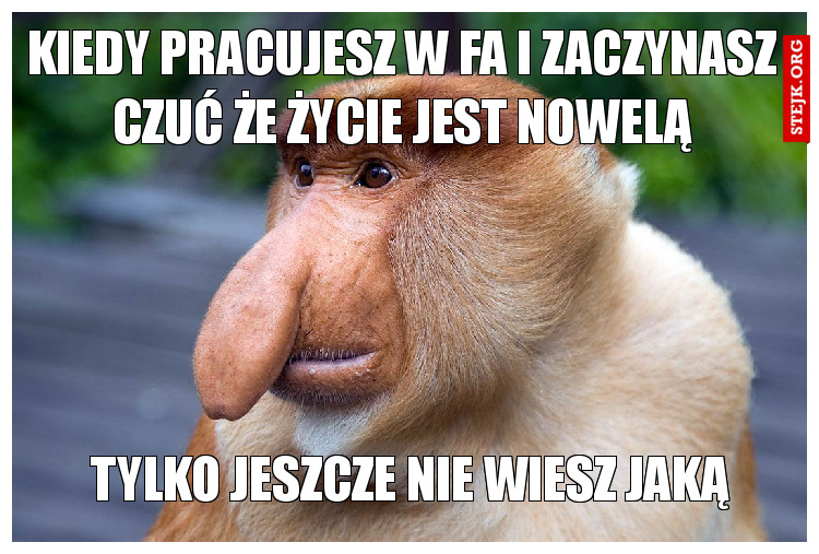 Kiedy pracujesz w FA i zaczynasz czuć że życie jest nowelą