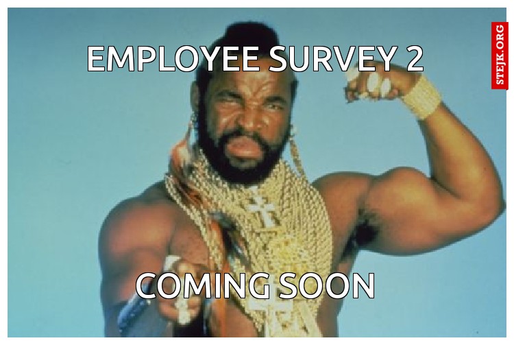 employee survey 2