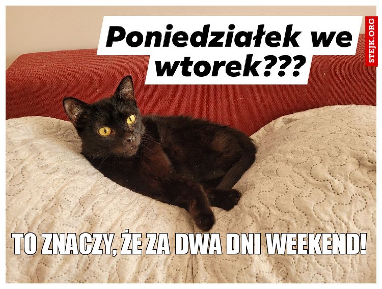 to znaczy, że za dwa dni weekend!