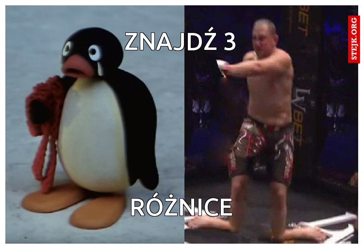 Znajdź 3