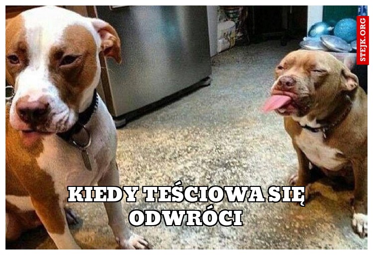 Kiedy teściowa się odwróci