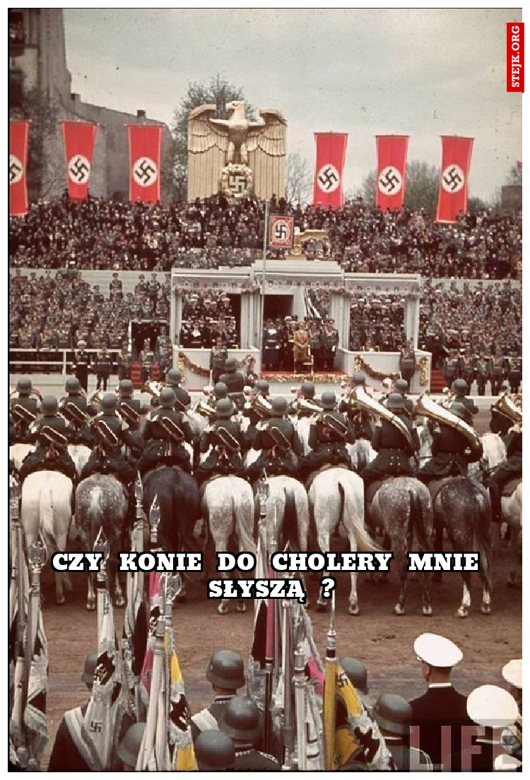 czy  konie  do  cholery  mnie  słyszą  ?