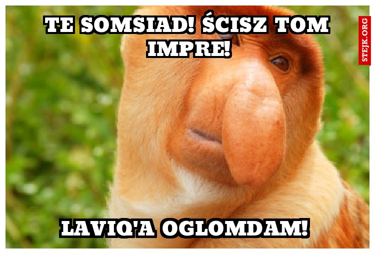 Te Somsiad! Impra