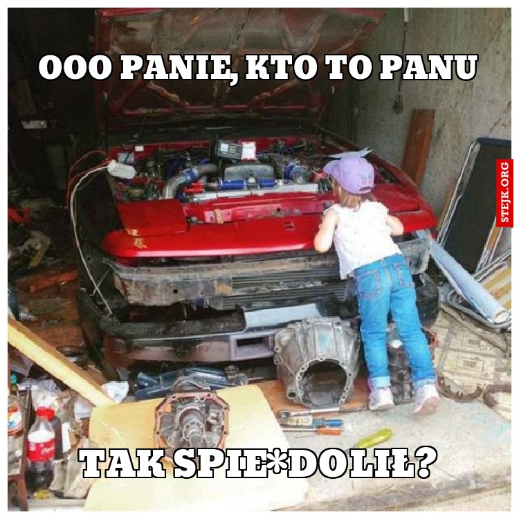 Ooo Panie, kto to panu
