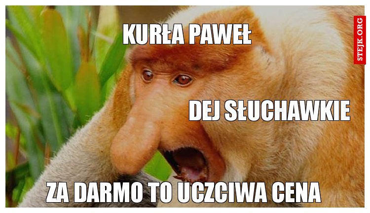 Kurła Paweł