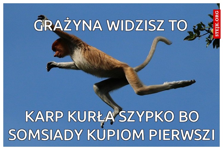 KARP kurła szypko bo somsiady kupiom pierwszi 