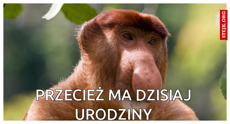 Przecież ma dzisiaj urodziny