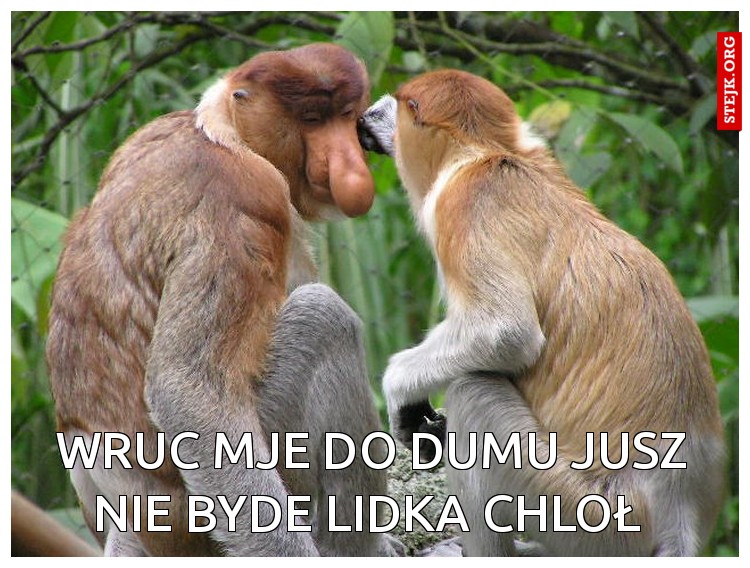 Wruc mje do dumu jusz nie byde Lidka chloł 