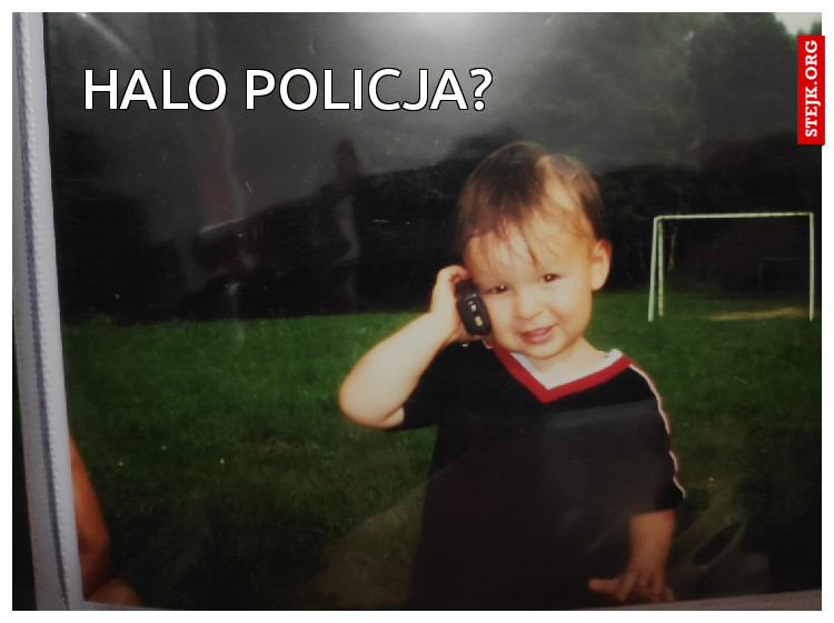 halo policja?