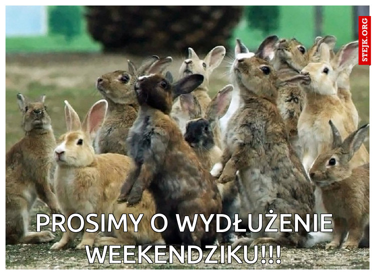 Że co? Jutro do pracy?
