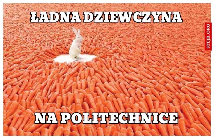 Ładna dziewczyna