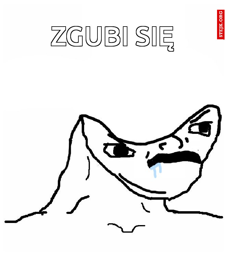 ZGUBI SIĘ