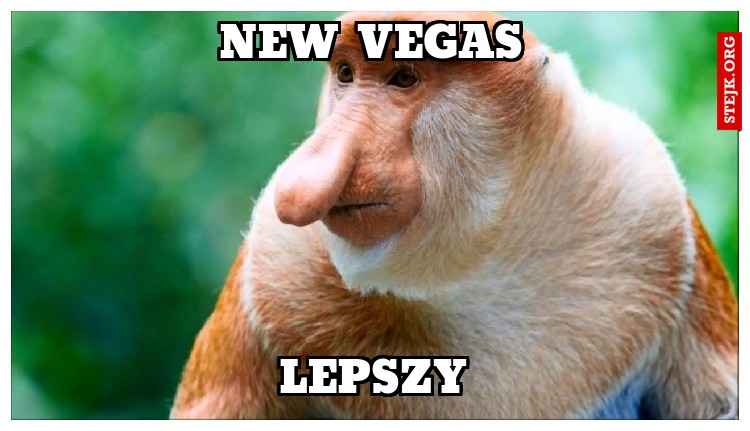 NEW VEGAS