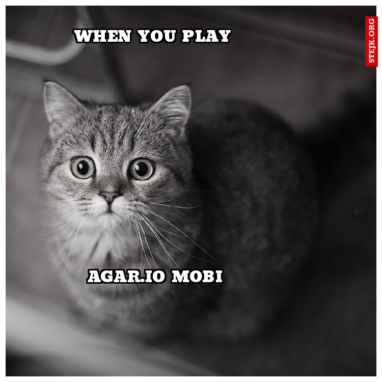 when you play 