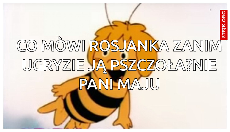Co mòwi Rosjanka zanim ugryzie ją pszczoła?Nie pani Maju