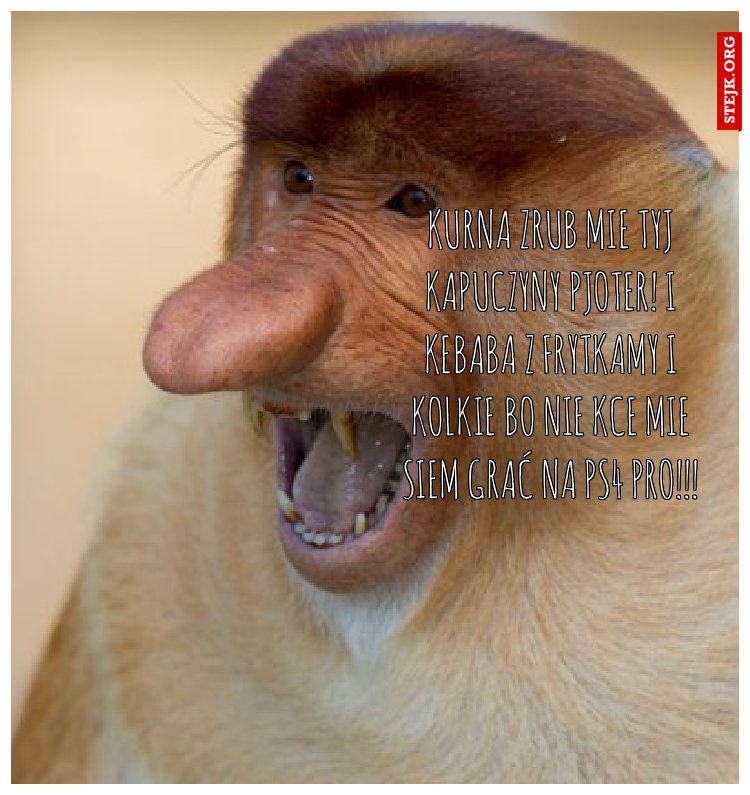 KURNA ZRUB MIE TYJ KAPUCZYNY PJOTER! I KEBABA Z FRYTKAMY I KOLKIE BO NIE KCE MIE SIEM GRAĆ NA PS4 PRO!!!
