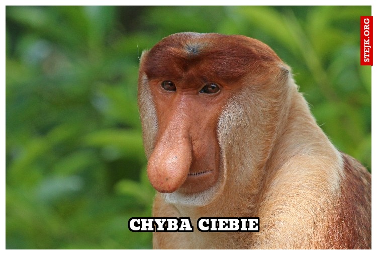 Chyba ciebie 