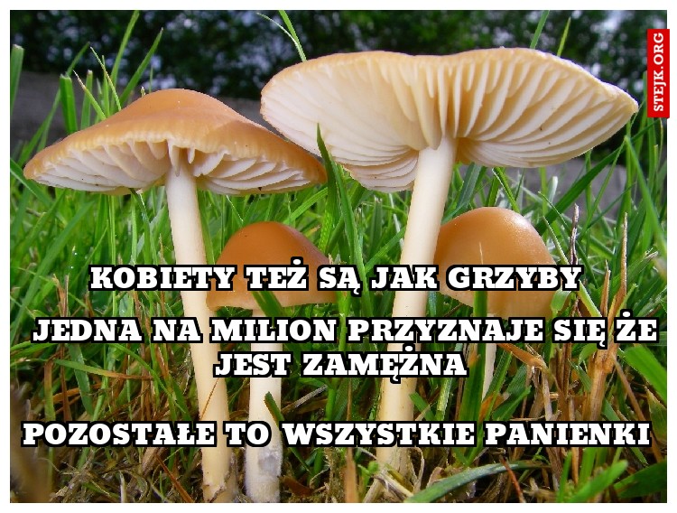 kobiety też są jak grzyby