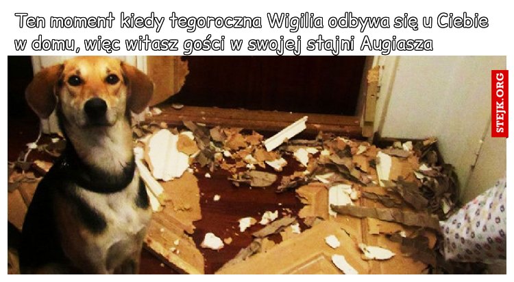 Ten moment kiedy tegoroczna Wigilia odbywa się u Ciebie w domu, więc witasz gości w swojej stajni Augiasza