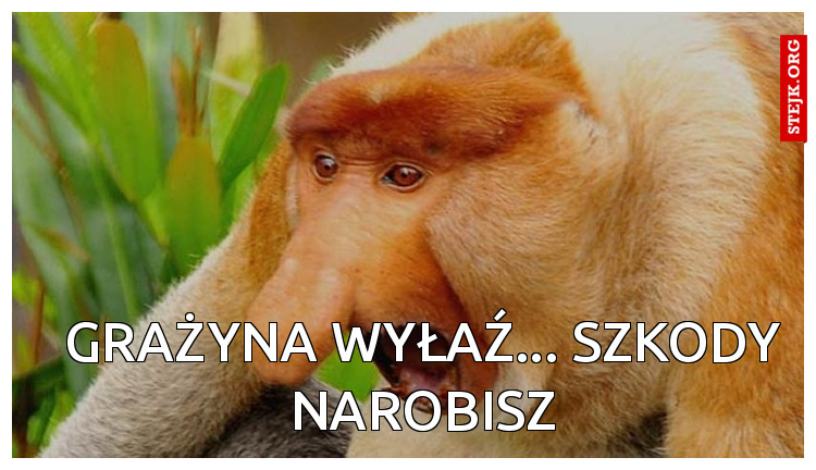 Grażyna wyłaź... Szkody narobisz