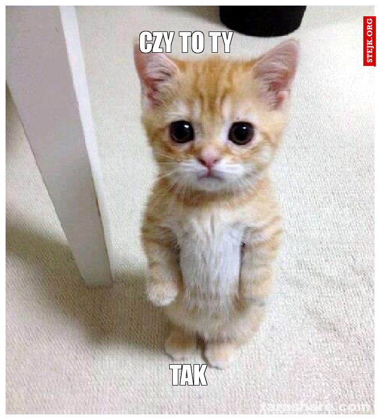 czy to ty 