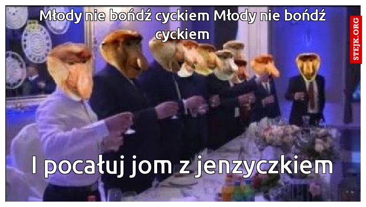 Młody nie bońdź cyckiem Młody nie bońdź cyckiem