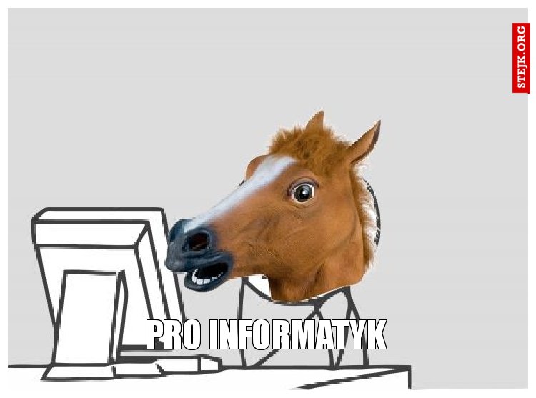 pro informatyk