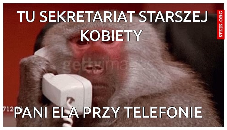 Tu sekretariat starszej kobiety 