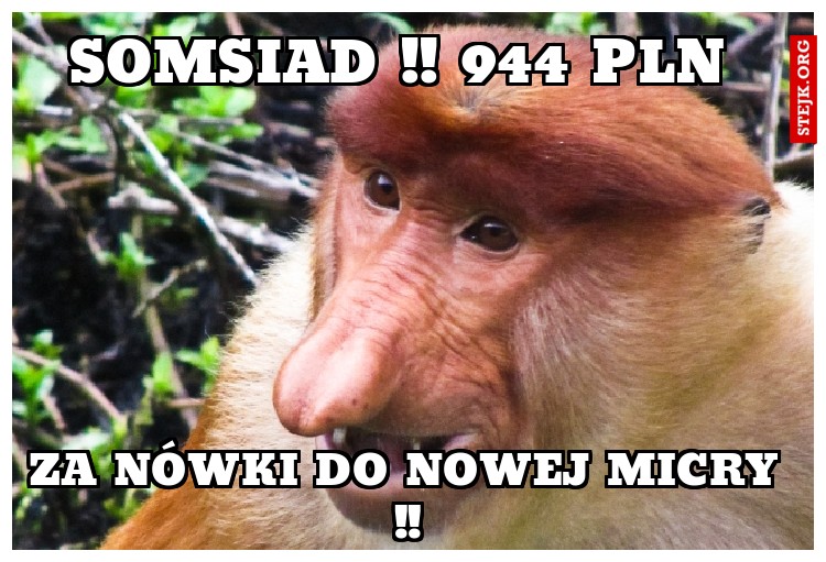 Somsiad !! 944 PLN