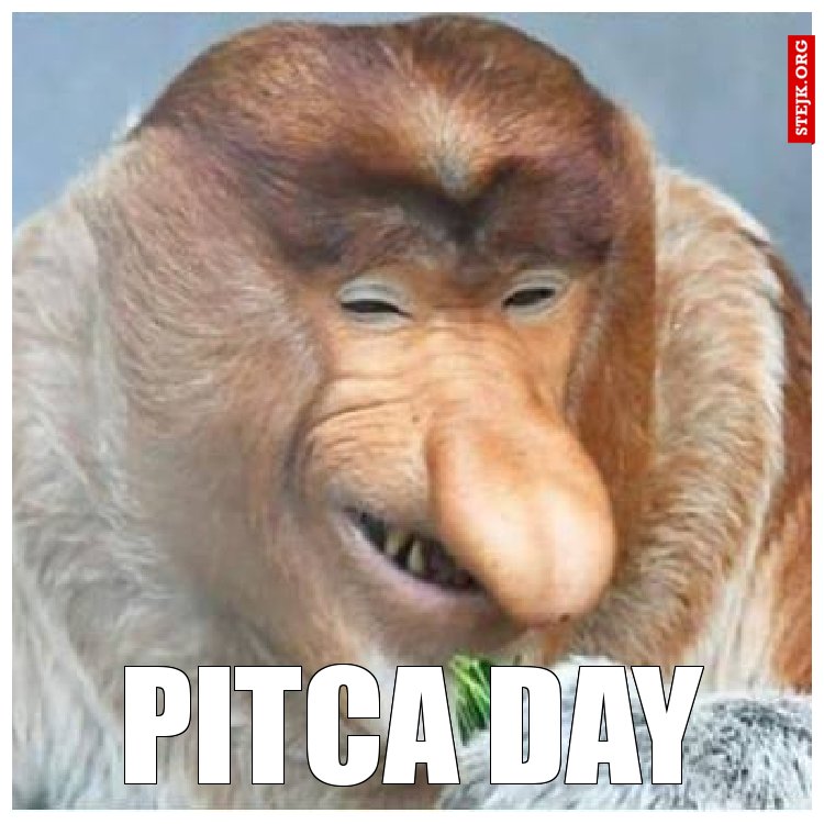 Pitca day