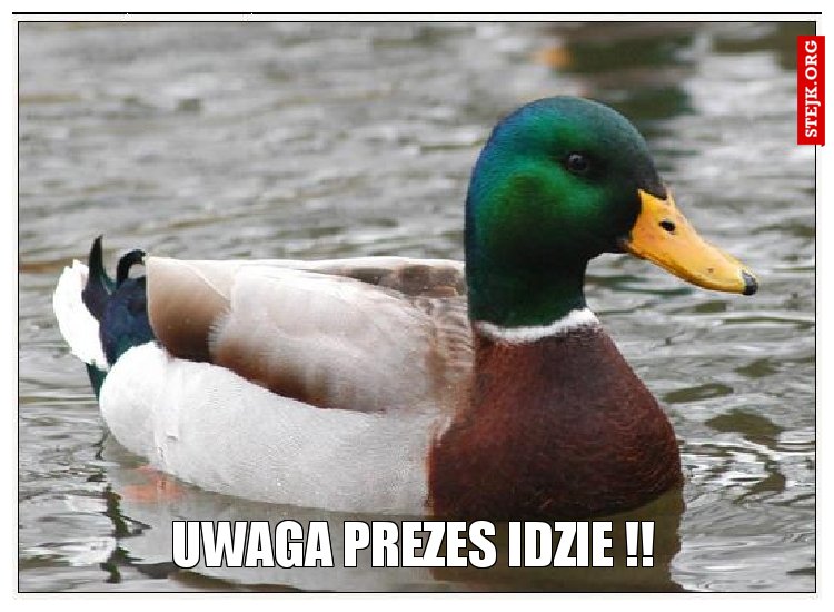 UWAGA PREZES IDZIE !!