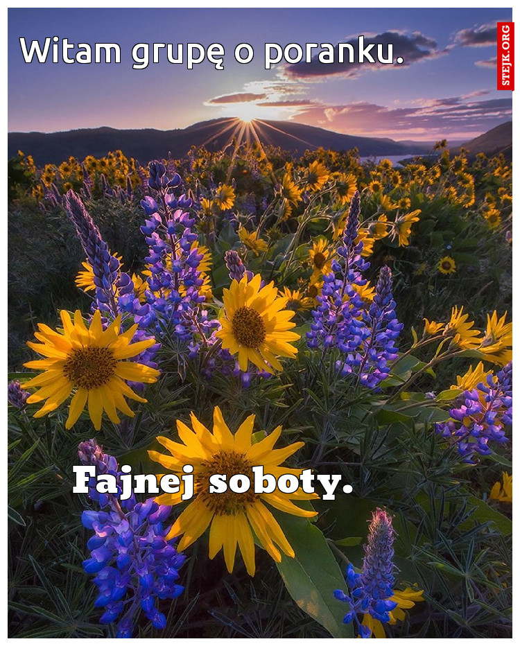 Witam grupę o poranku.